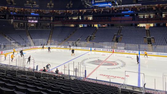 Skate report: Guentzel out, Penguins to dress seven defensemen taken in Columbus, Ohio (Penguins)